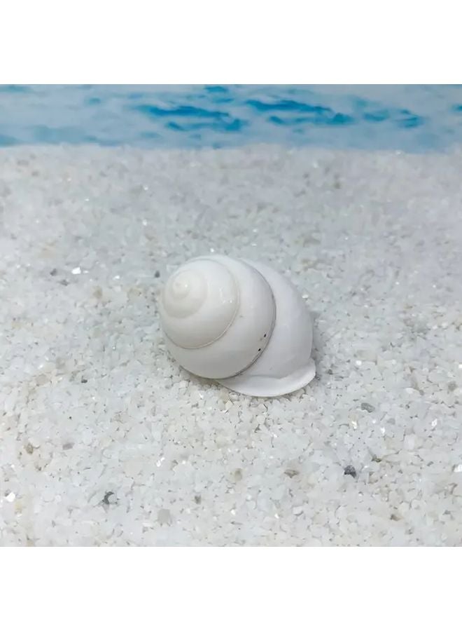 White Snail Shell Aquarium Decor 1pc Glossy Enamel Conch Nordic Style Fish Tank Ornament - Image 5